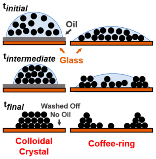 Suppression of the CoffeeRing Effect and EvaporationDriven Disorder